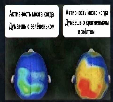 Активность мозга и цвета