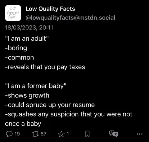Former Baby Resume Joke