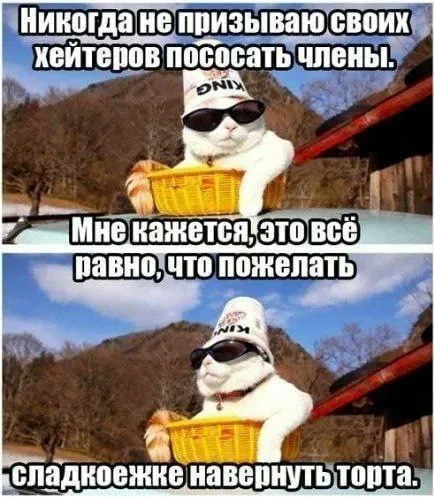 Кот в очках желает сладкого