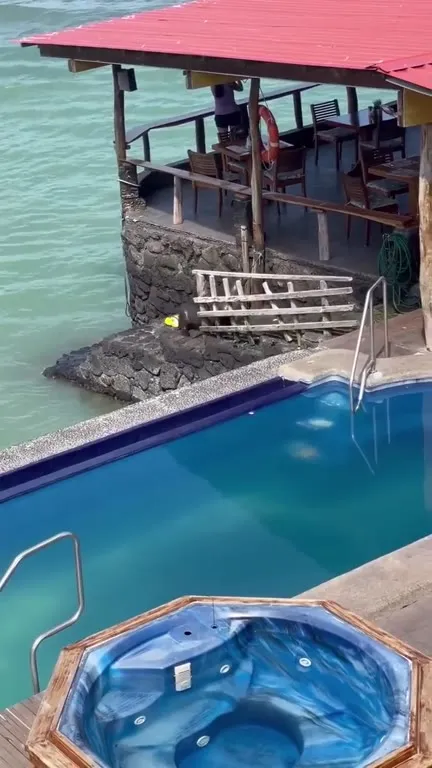 Sea Lion Steals the Sunbed