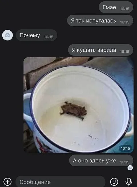 Таракан в кастрюле с едой