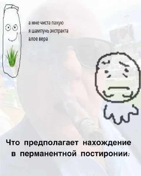Перманентная постирония и шампунь