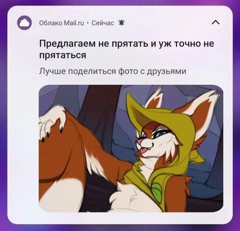 Не прятать и не прятаться