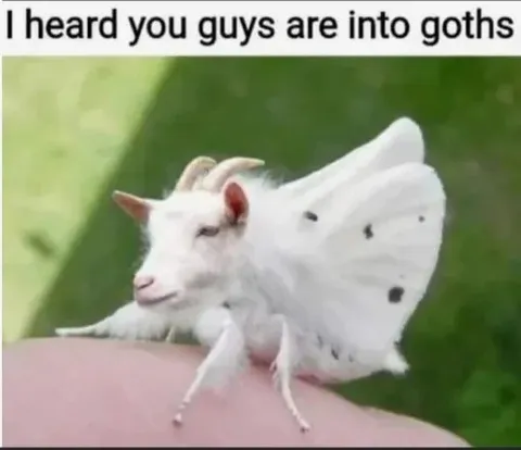 Goat Into Goths