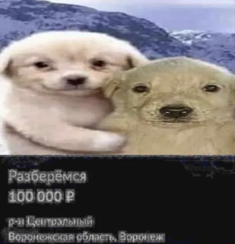 Разберёмся за 100 000 ₽