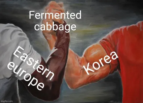 Fermented Cabbage Showdown