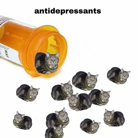 Antidepressant Cat Pills