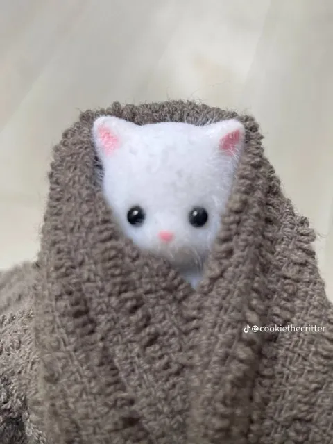 Котёнок, укутанный в плед