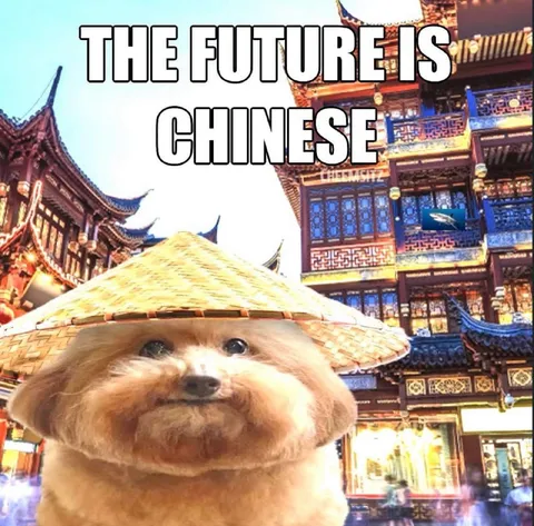 The Future Is Chinese Dog