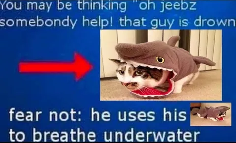 Cat Shark Breathes Underwater