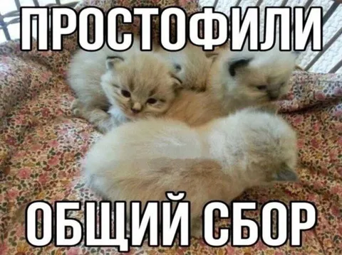 Простофили на общий сбор