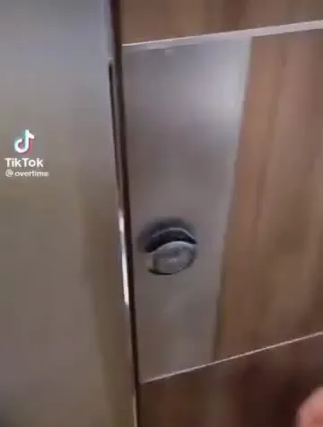 Олень в туалете