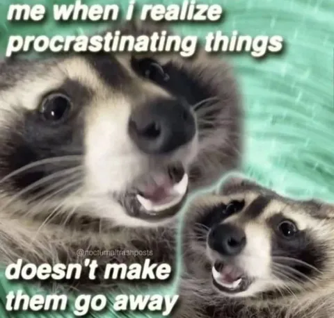 Raccoon Realizes Procrastination