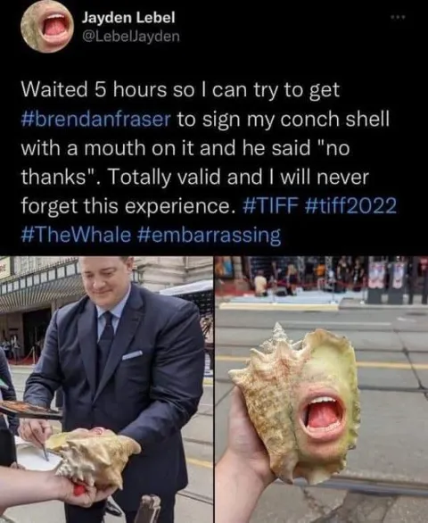 Conch Shell Autograph Rejection