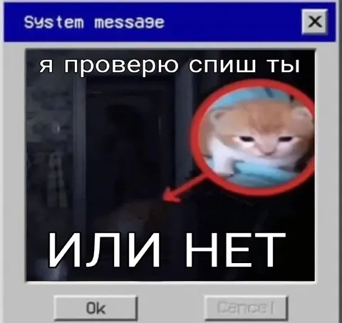 Я проверю, спишь ты или нет