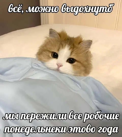 Пережили все рабочие понедельники