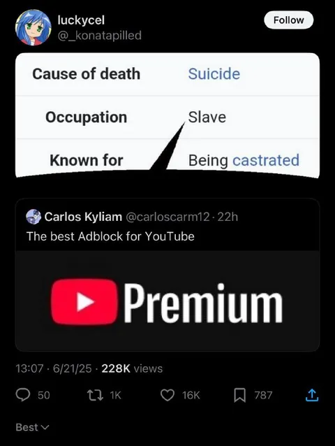 YouTube Premium as Adblock