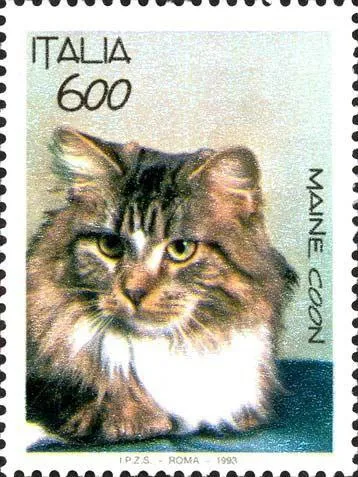 Francobollo del Maine Coon