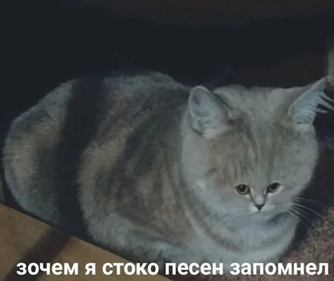 Зачем я столько песен запомнил