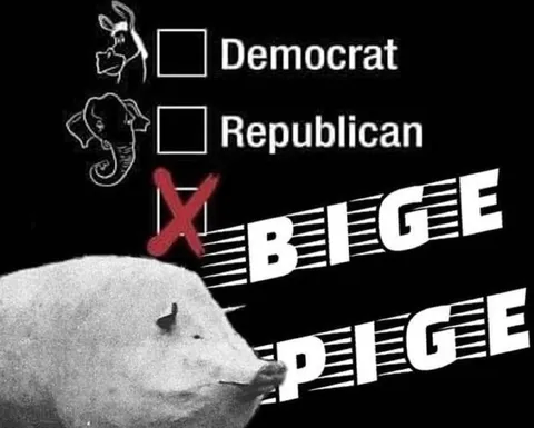 Donkey and Elephant Election