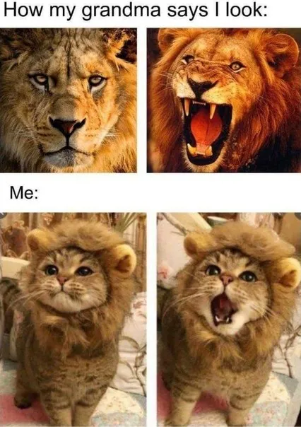 How Grandma Says I Look