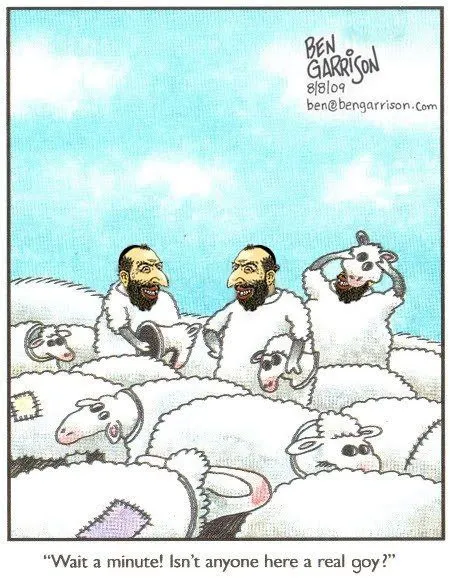 Anyone Here a Real Goy?