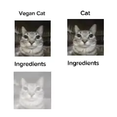 Vegan Cat Ingredients Reveal