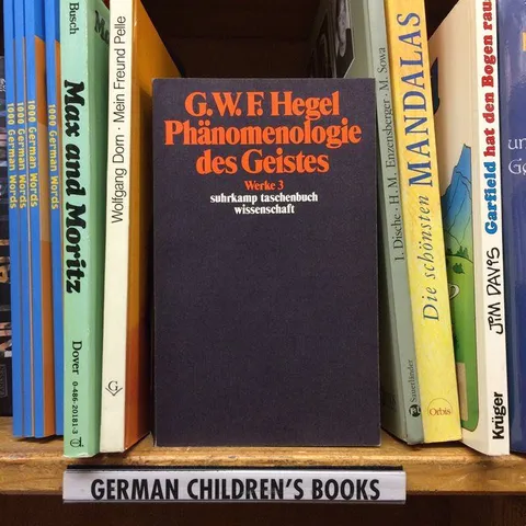 Hegels Phänomenologie im Kinderregal