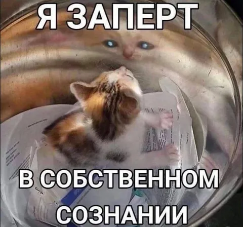 Заперт в собственном сознании