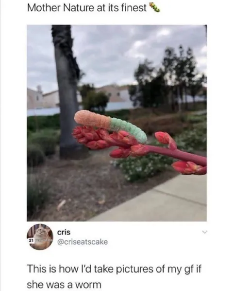 Photographing My Worm Girlfriend