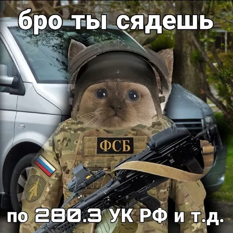 Бро, ты сядешь по статье