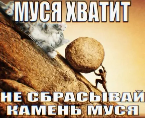 Муська хватит не сбрасывай камень