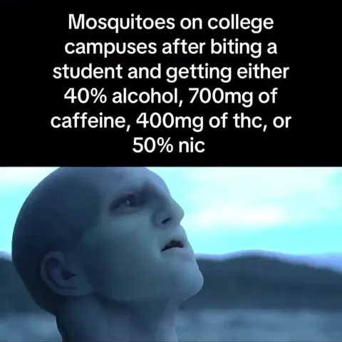 Mosquitoes After Biting College Students