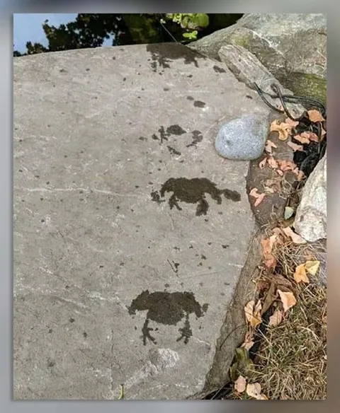 Лягушки из мокрых пятен