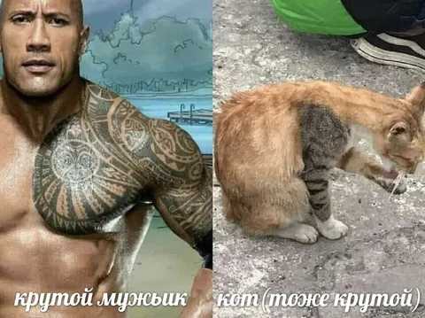 Крутой мужык и кот