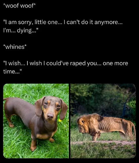 Dachshund and dying lion
