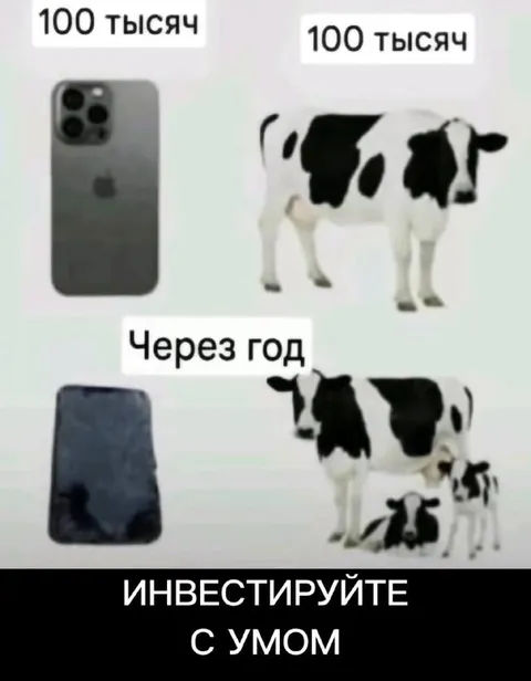 Инвестируйте с умом