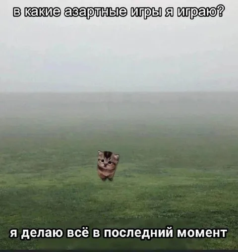 Азартные игры в последний момент