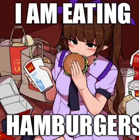 I Am Eating Hamburgers Every Day