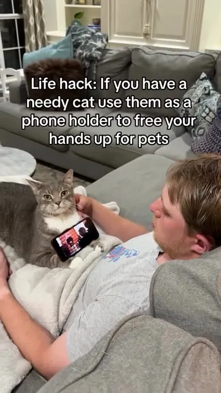 Needy Cat Phone Holder