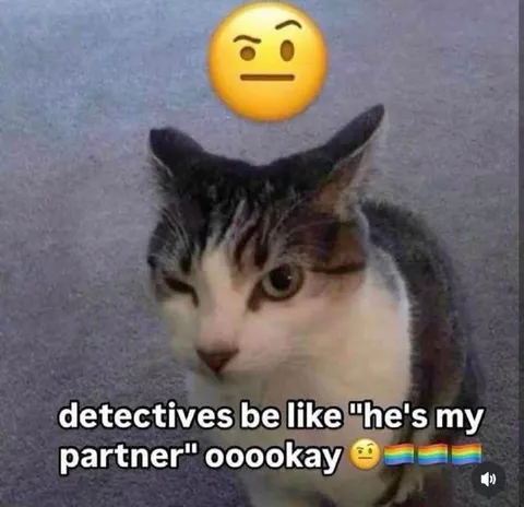 Detectives' Suspicious Partner