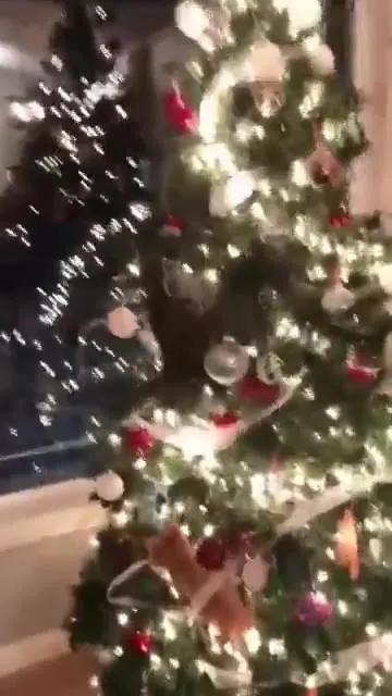 Pets Ruin Christmas Trees