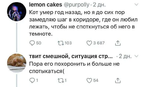 Кот, которого всё ещё обходят