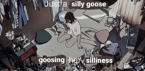 Just a Silly Goose
