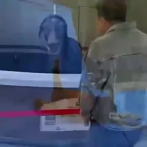 Лошадь вышла из-под контроля
