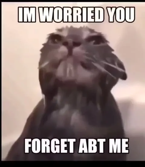 Коты под 90210