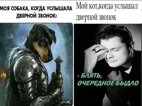 Собака и кот у двери