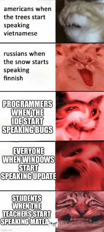 Cats When Things Start Speaking