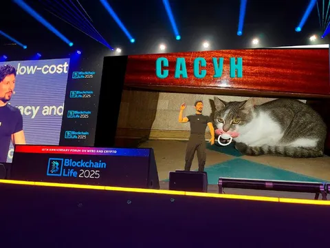 Кот в салоне САСУН