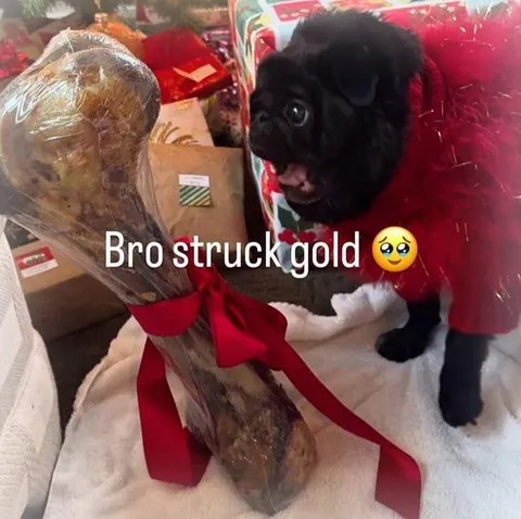 Bro Struck Gold